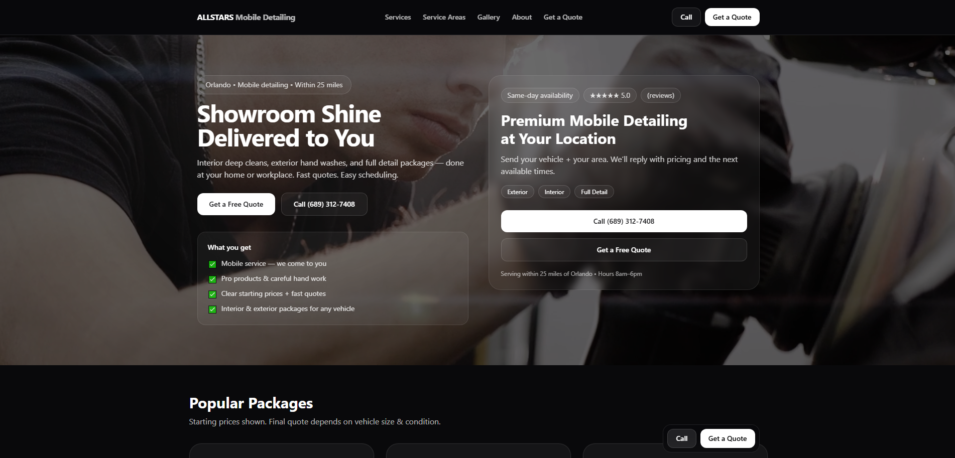 Portfolio preview — mobile detailing homepage